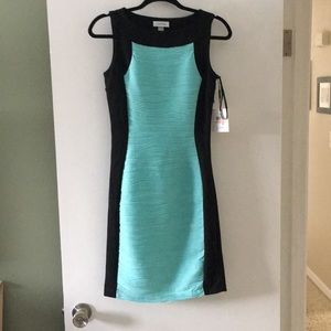 Calvin Klein Sheath Dress Size 2